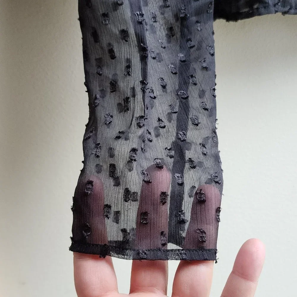 Express Sheer Black Cropped Blouse Size XS